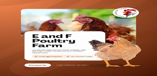 E and F Poultry Farm logo